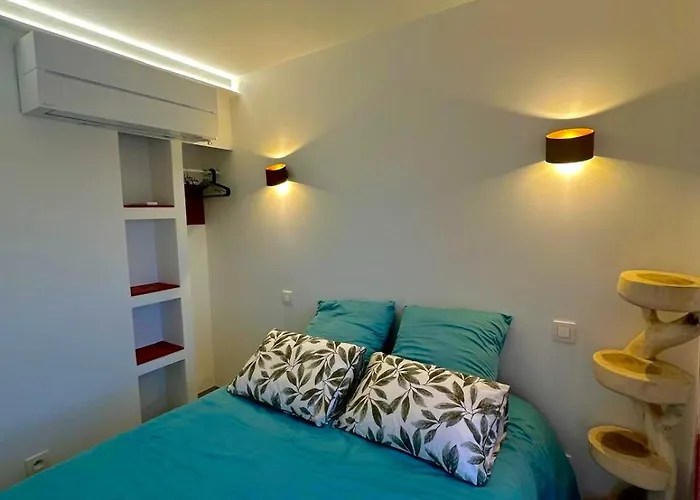 Apartment Les Pieds Dans L'eau Agde